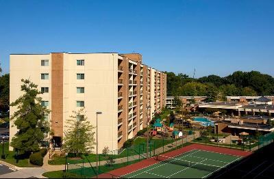 Top Pet Friendly Apartments Worldwide Bringfido