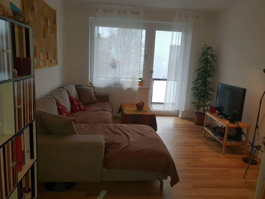 Pet Friendly Jena Airbnb Rentals