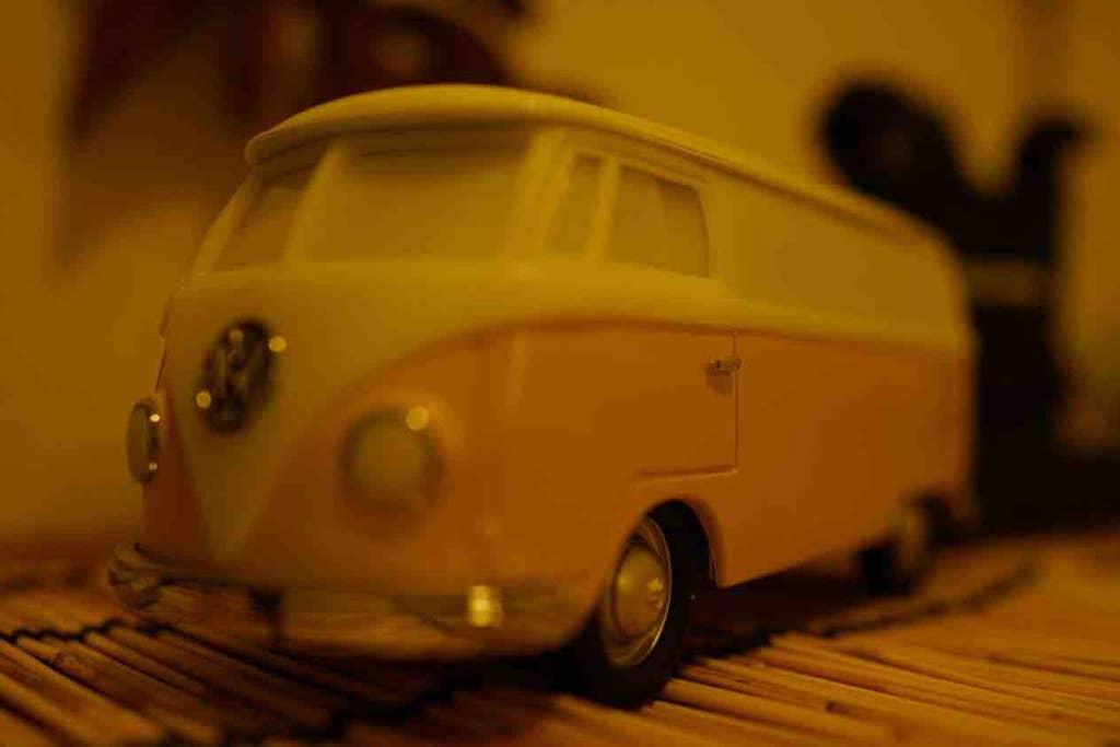 pet friendly vacations near me