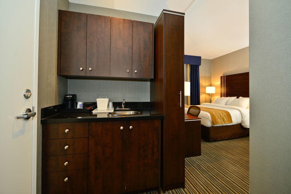 Comfort Inn City Centre Pet Policy