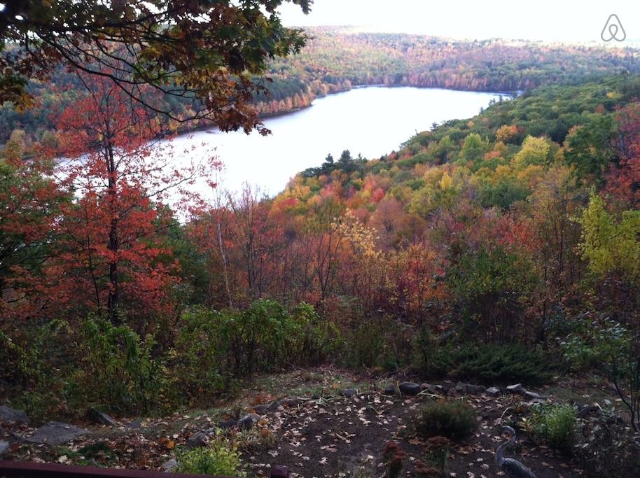 Vassalboro Airbnb Rentals Pet Policy