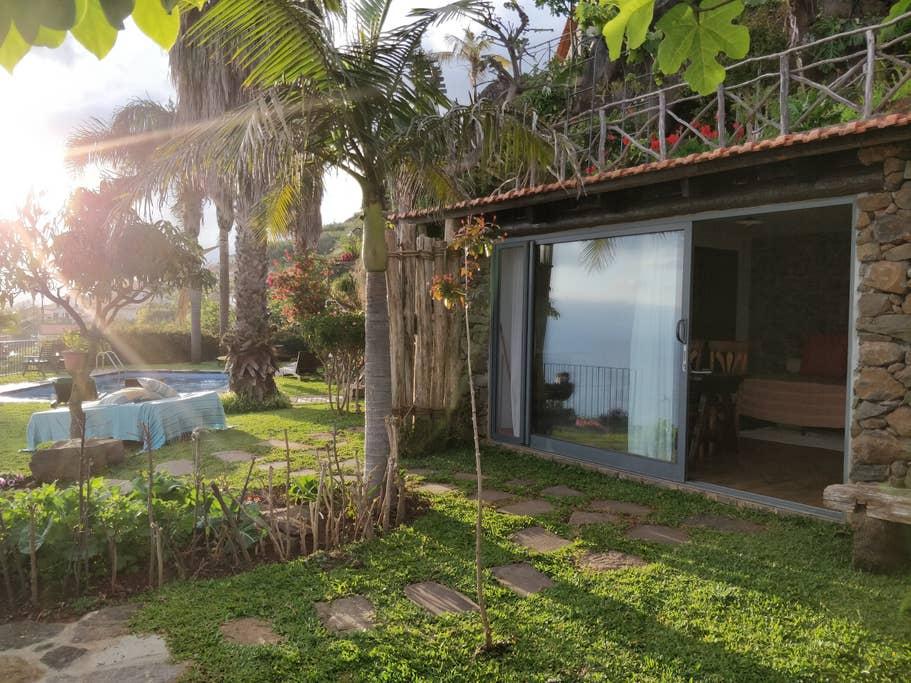 Pet Friendly Arco da Calheta Airbnb Rentals