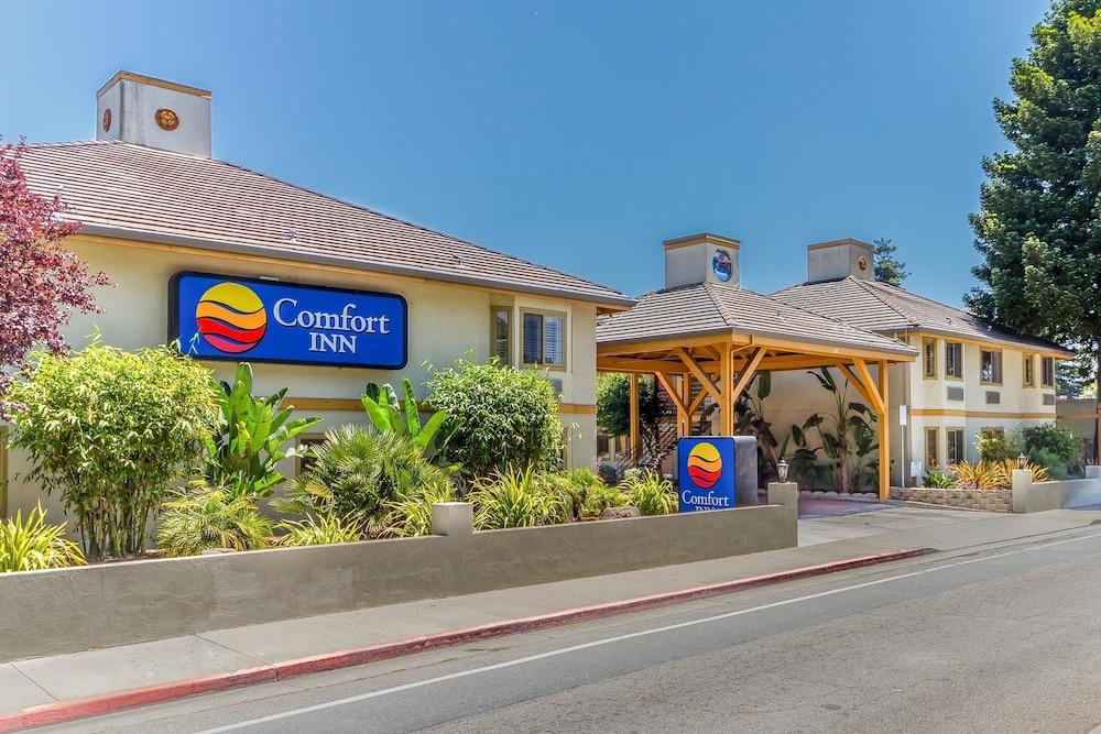 Comfort Inn Santa Cruz Pet Policy