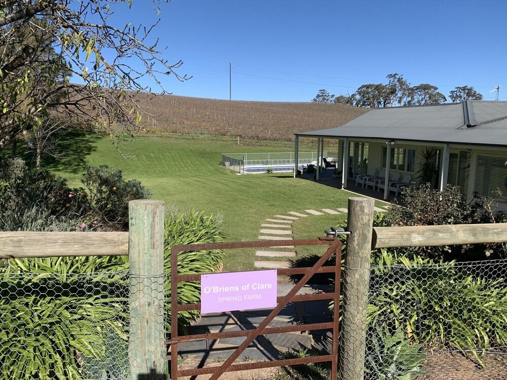 Pet Friendly 4/2 House with Vineyard Views