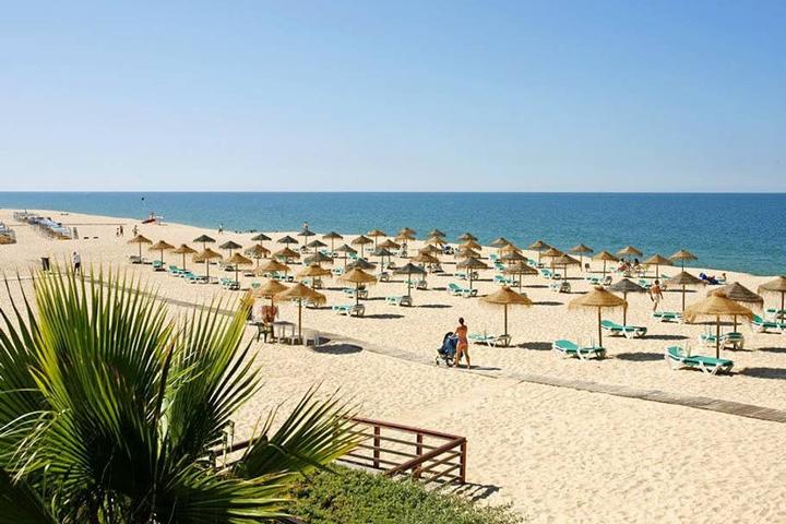 Pet Friendly Vacation Rentals In Portugal Bringfido Pet Friendly Vacation Rentals In Portugal Bringfido