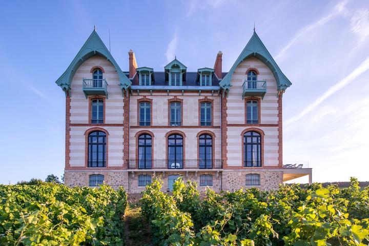 Pet Friendly Château de Sacy