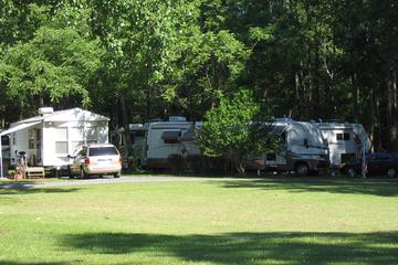 Pet Friendly Campgrounds In Saratoga Springs Ny Bringfido