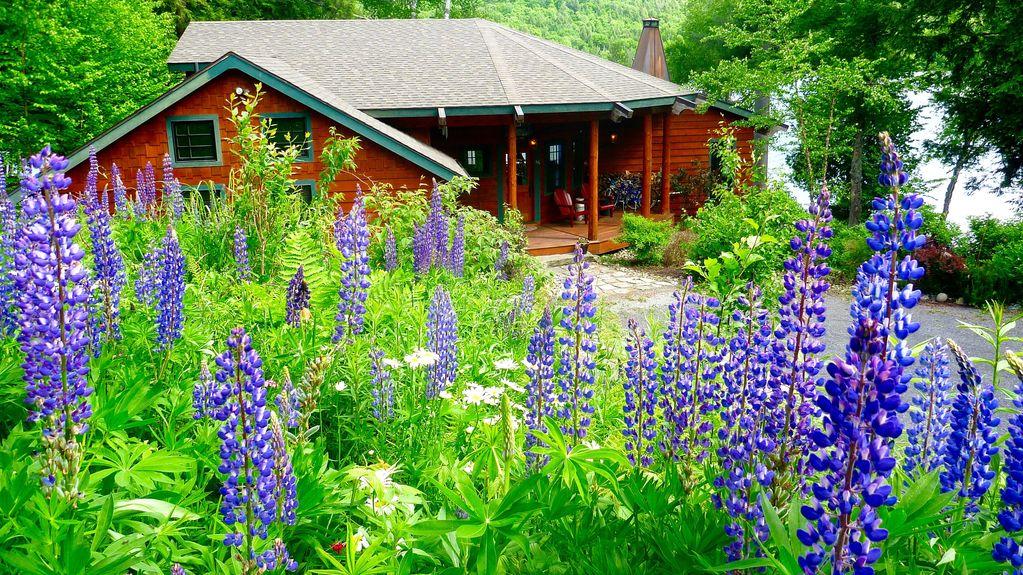 VRBO Blue Mountain Lake Pet Policy