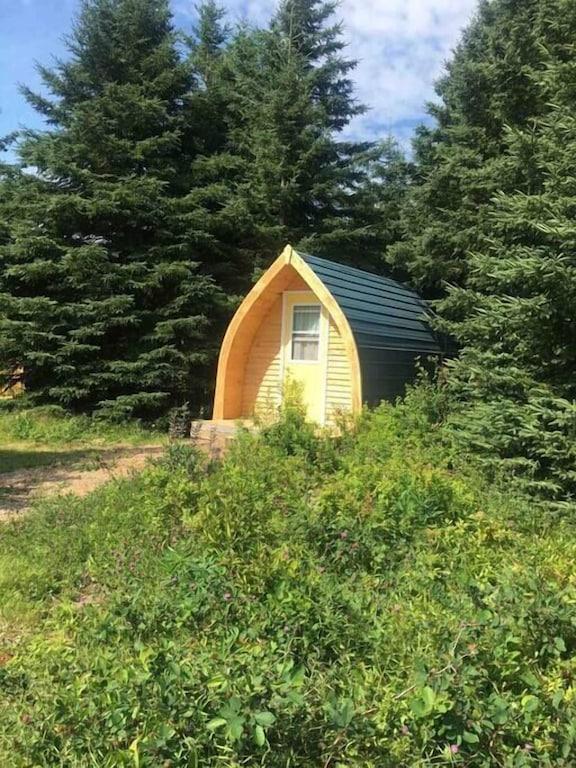 Pet Friendly Blue Spruce Camping Pod