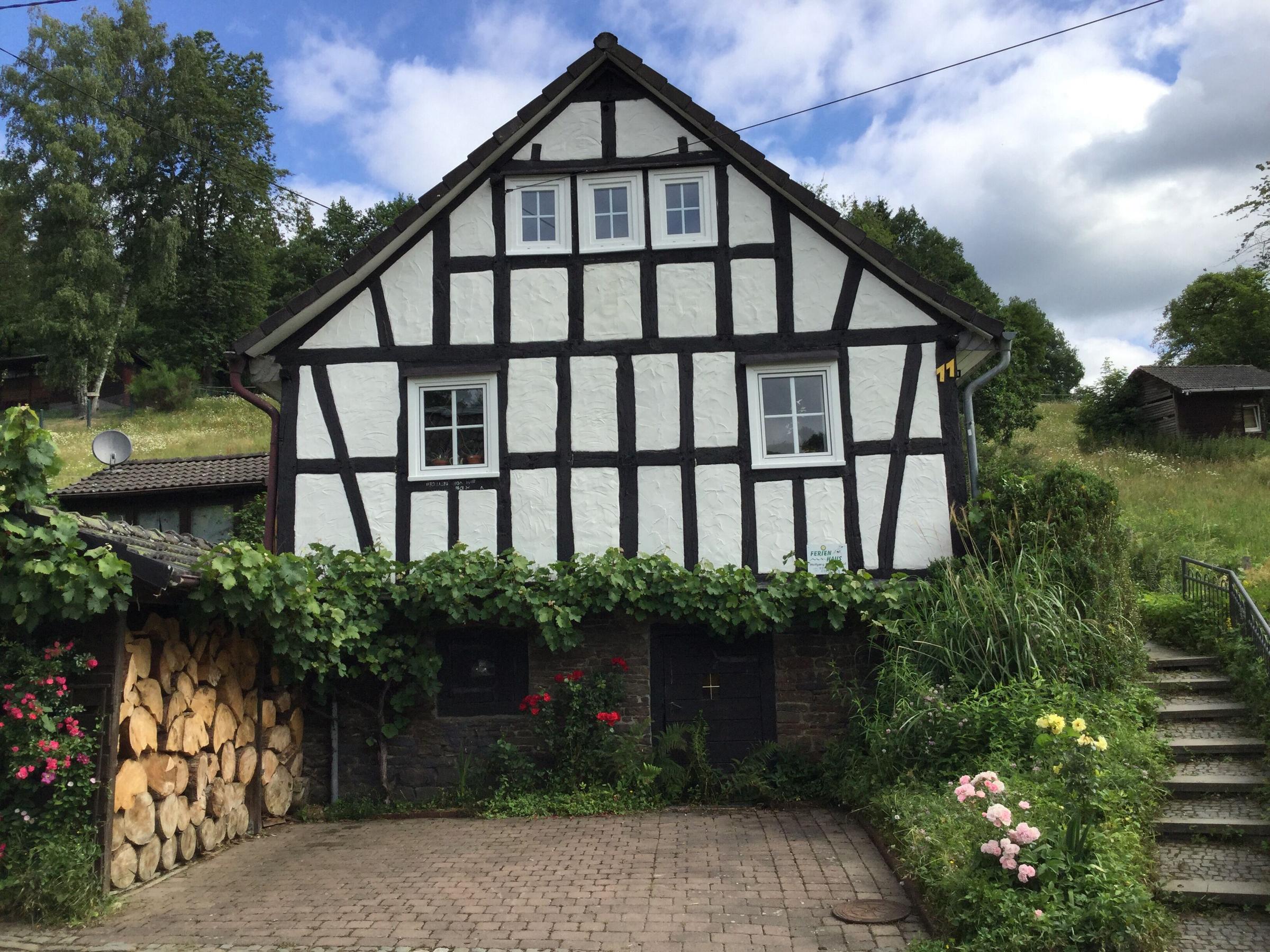 Pet Friendly Haus Hollenstein