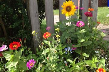 Pet Friendly Hotels In Ebensburg Pa Bringfido