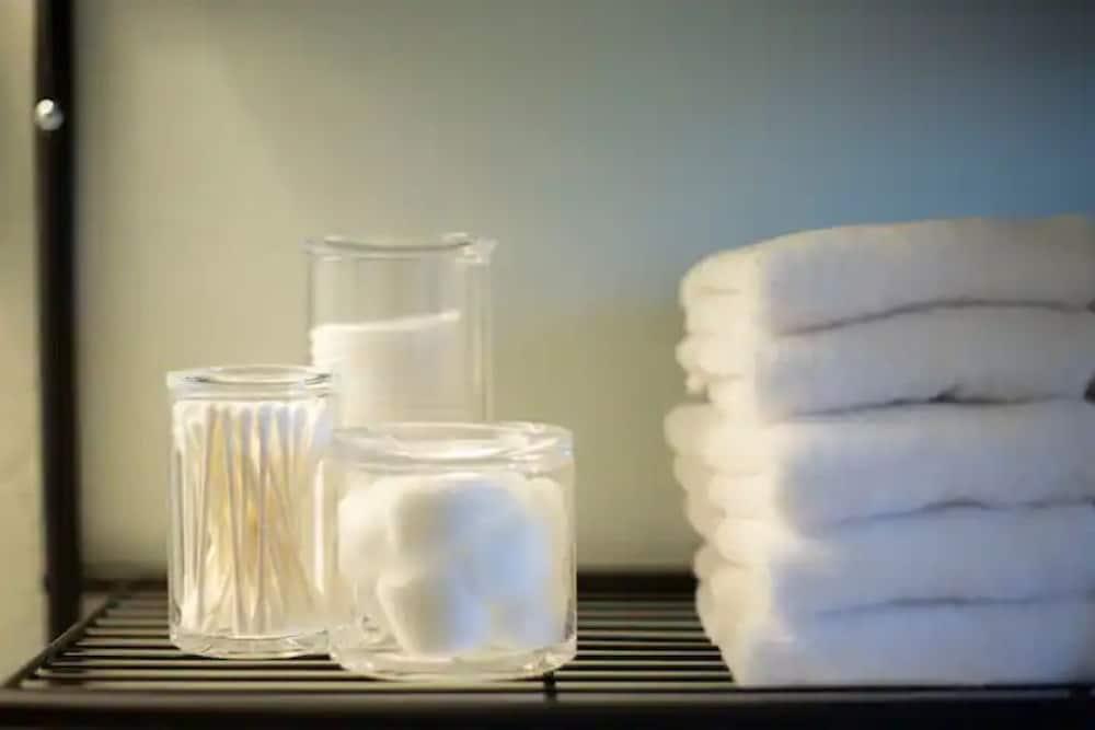 Cozy Hudson Avenue Loft Pet Policy