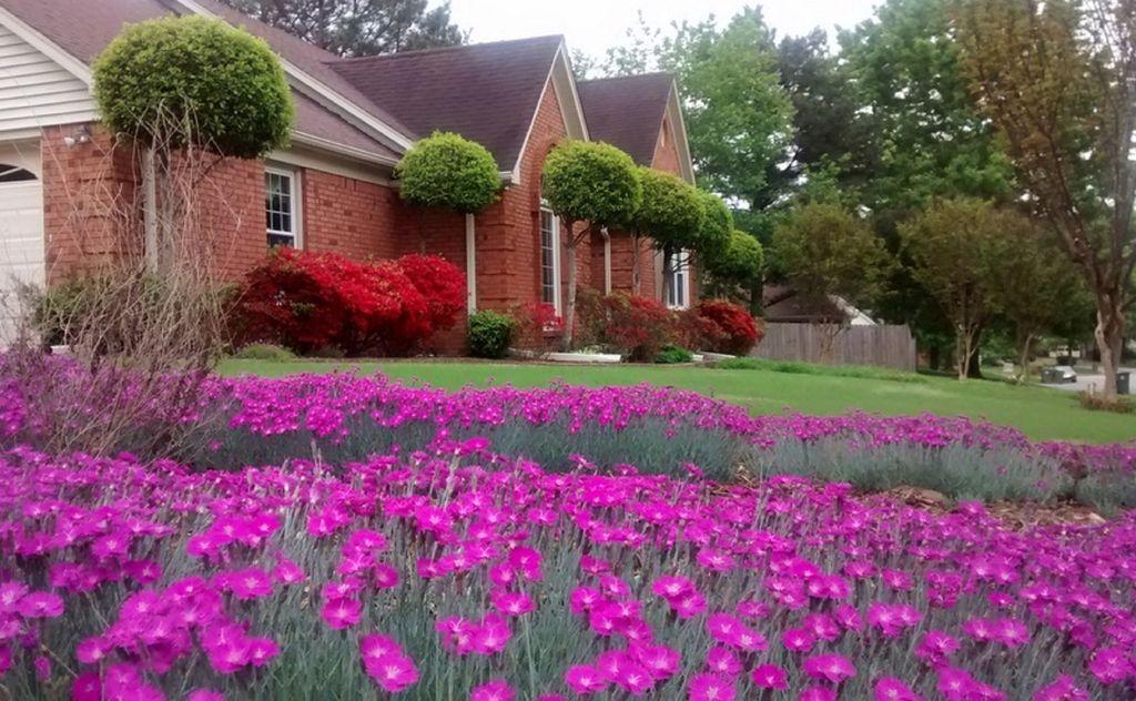 Pet Friendly Hotels In Cordova Tn Bringfido