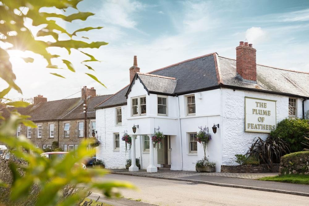Pet Friendly The Plume of Feathers