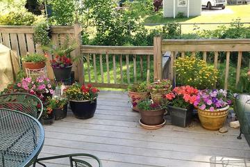 Pet Friendly Vacation Rentals In Portsmouth Nh Bringfido