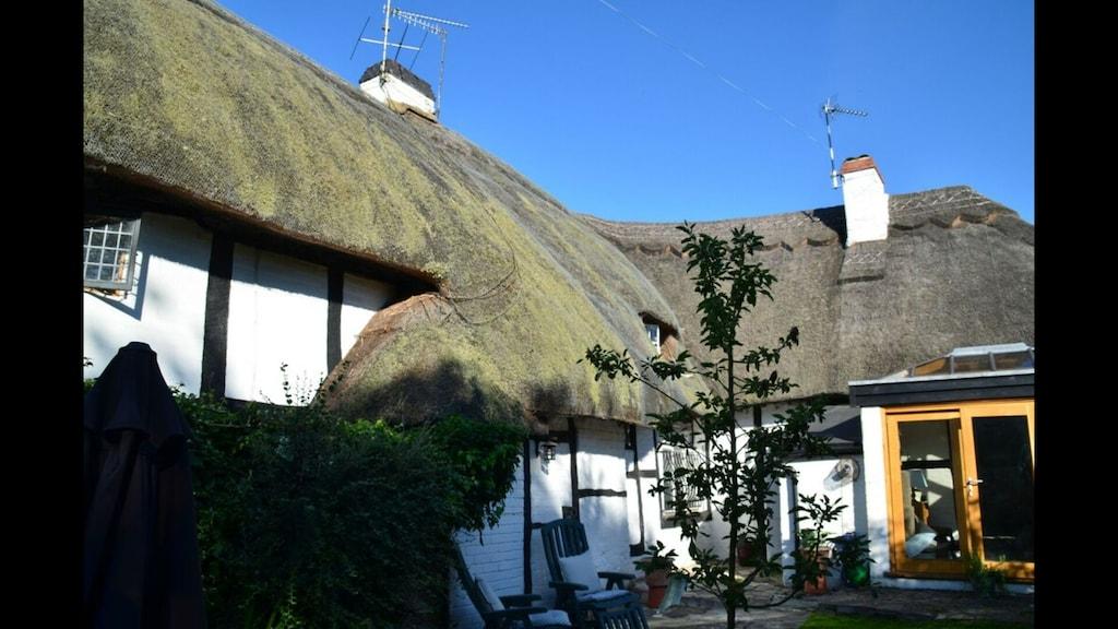 Pet Friendly 17th Century Thatched Cottage