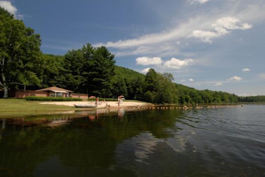 Pet Friendly Taconic State Park Campground (Rudd Pond Area)