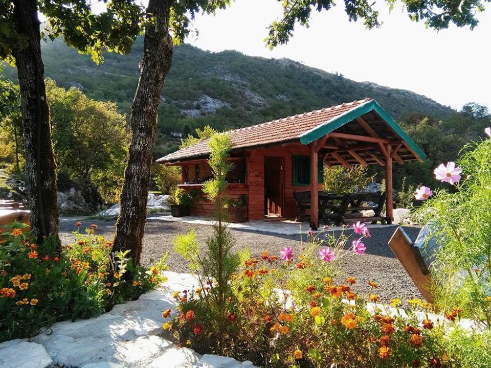 Pet Friendly Camp OazaLipa