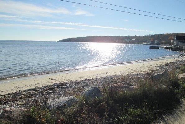 Pet Friendly Vacation Rentals In Nova Scotia Bringfido