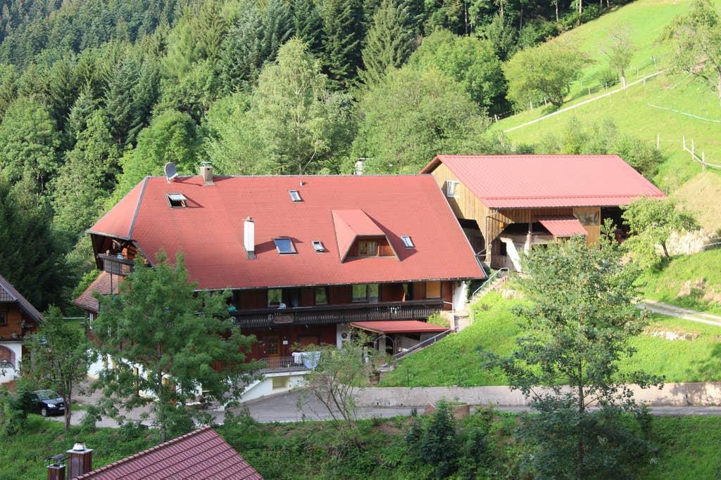 Pet Friendly Oberharmersbach Airbnb Rentals