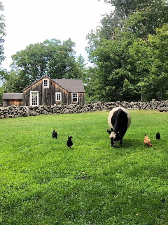 Pet Friendly Charming Farm Cottage with Mountain Views