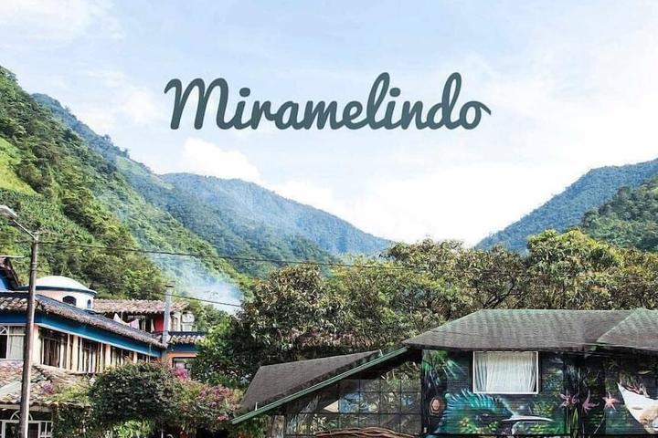 Pet Friendly Miramelindo Spa Hotel