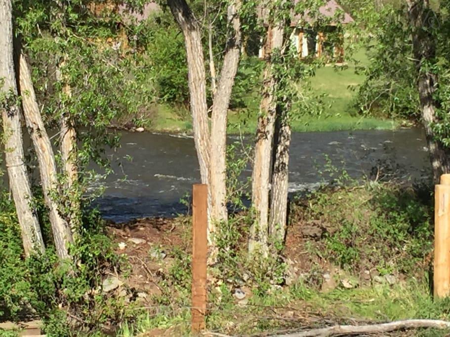 Pet Friendly Vacation Rentals In Gunnison Co Bringfido