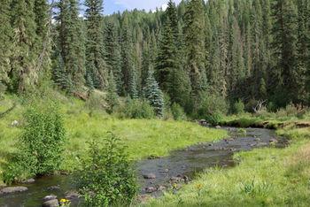 Little Colorado Cabins Pet Policy