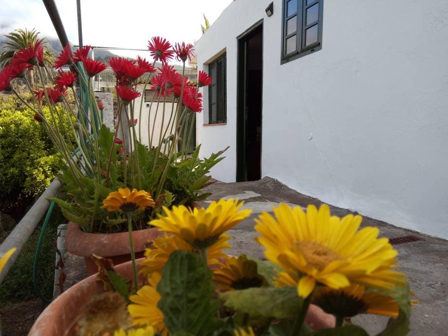 Pet Friendly San Cristobal de La Laguna Airbnb Rentals