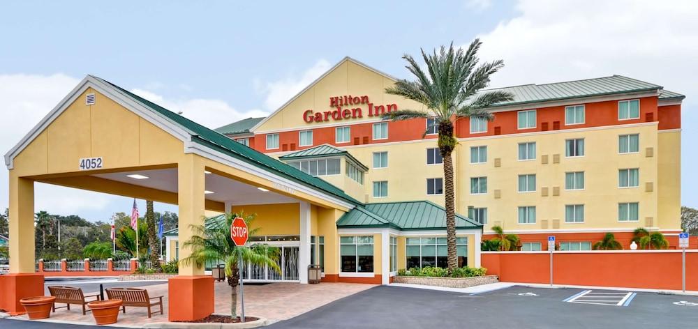 Pet Friendly Hilton Garden Inn Tampa Northwest Oldsmar
