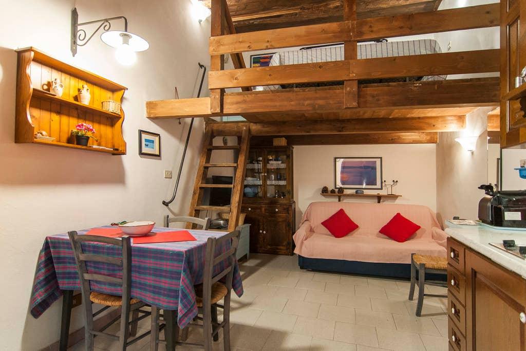 Pet Friendly Terracina Airbnb Rentals