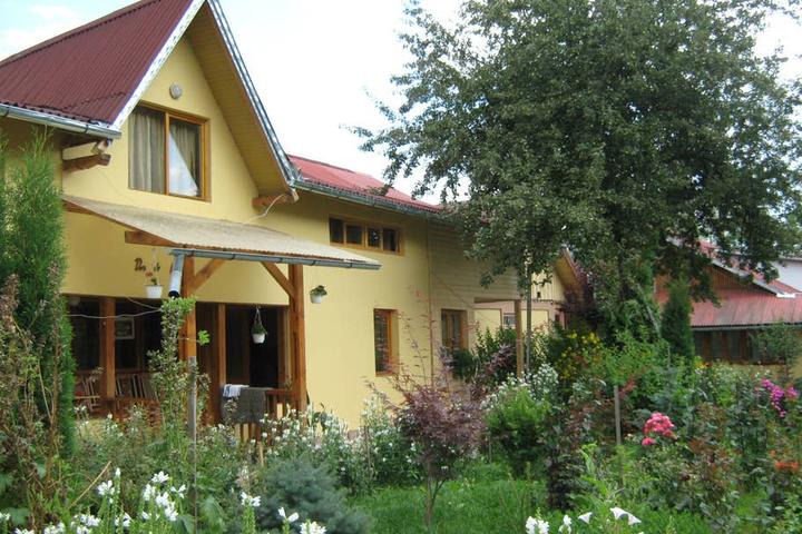 Pet Friendly Campulung Moldovenesc Airbnb Rentals