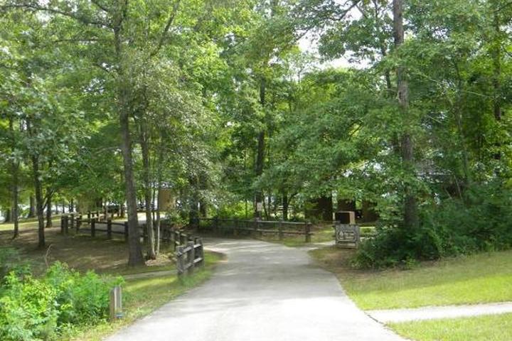 Pet Friendly Clear Creek Campground