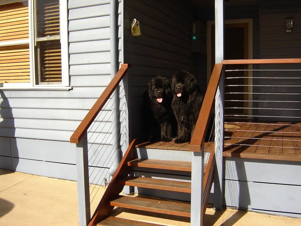 Pet Friendly Beach Cottage at Cannons Creek