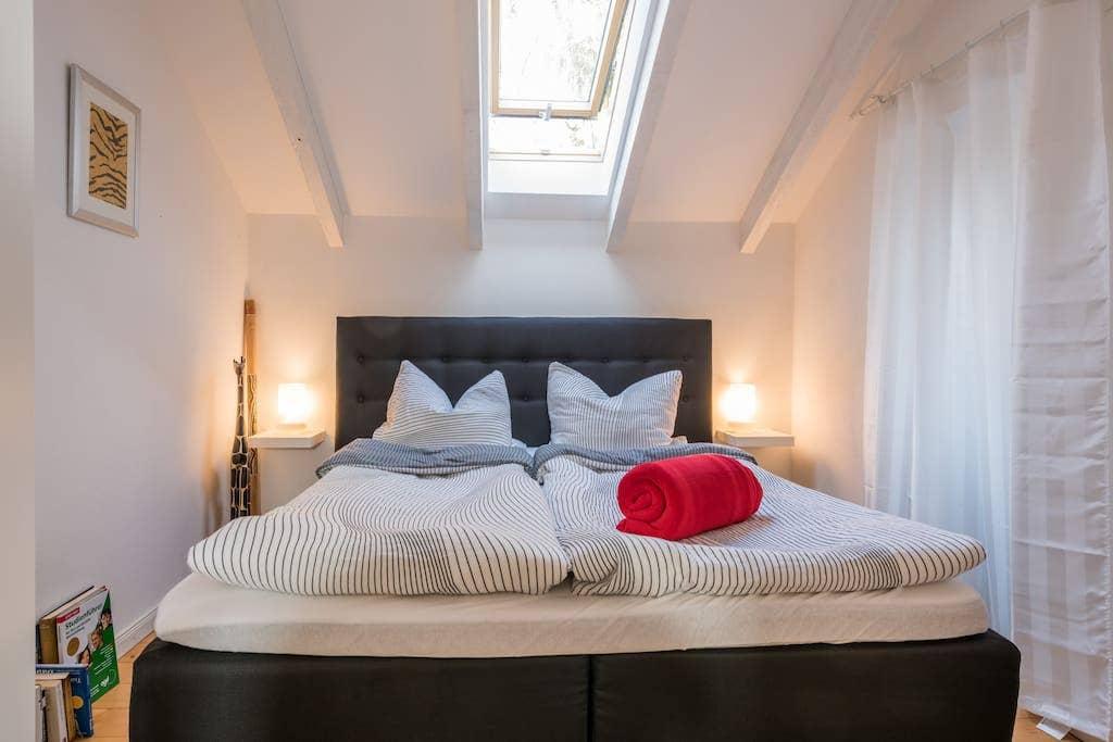 Pet Friendly Heppenheim Airbnb Rentals