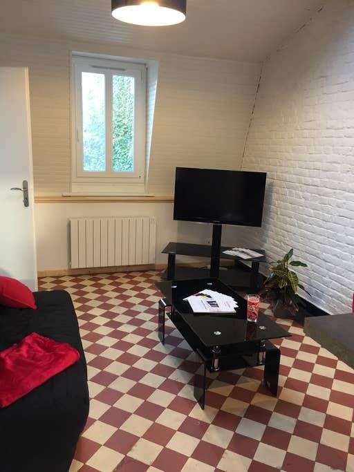 Pet Friendly Douai Airbnb Rentals