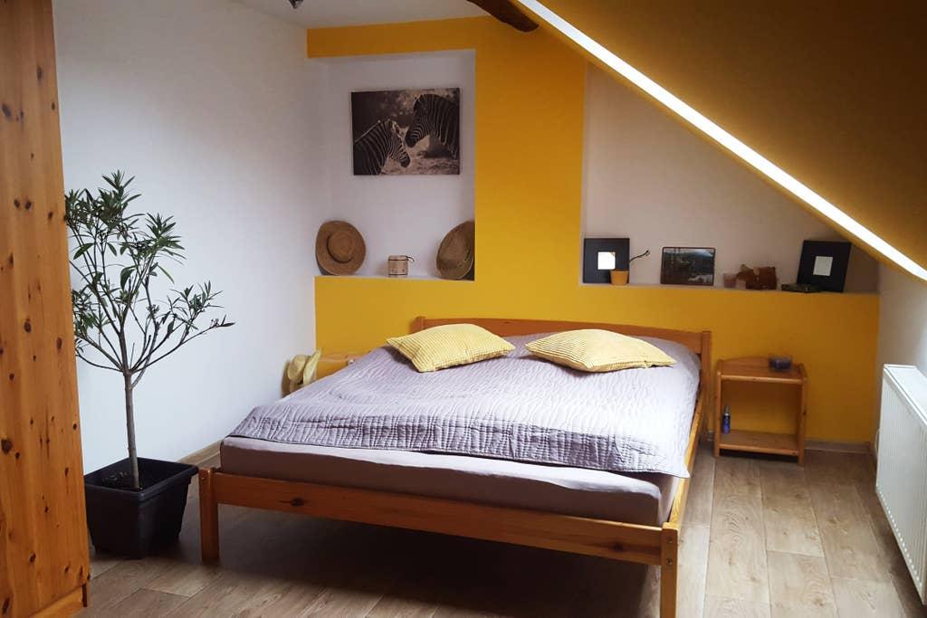 Pet Friendly Kutna Hora Airbnb Rentals