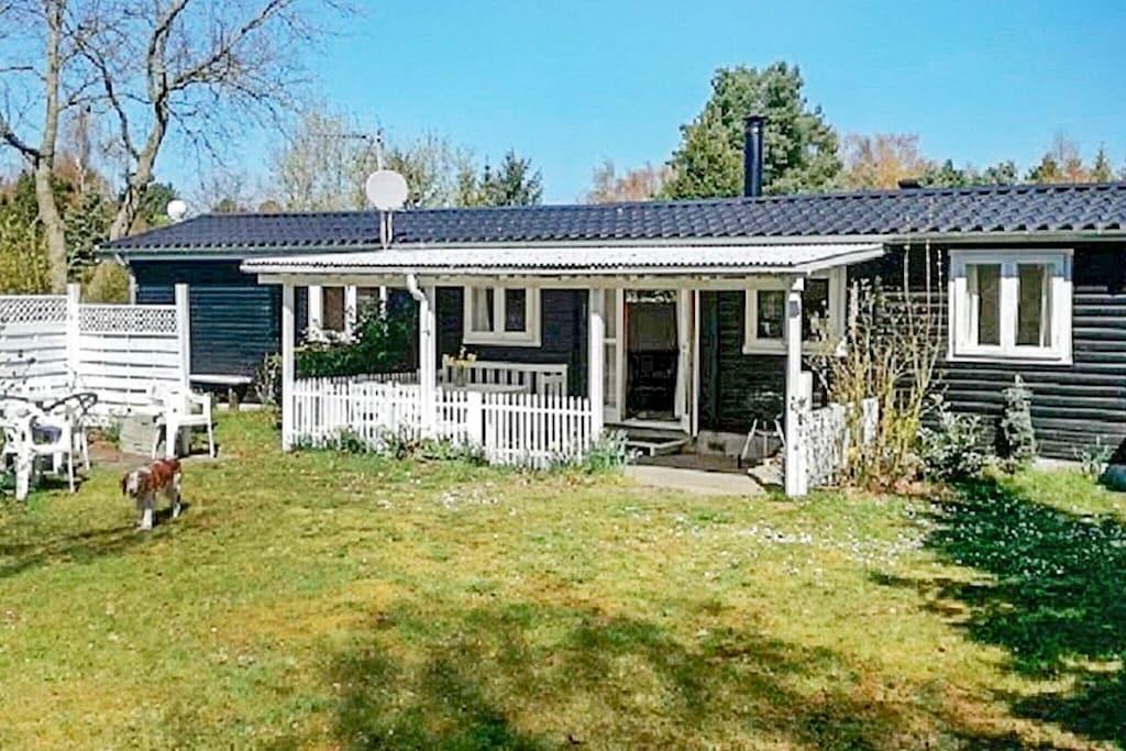 Pet Friendly 2BR Cottage With Fenced Yard
