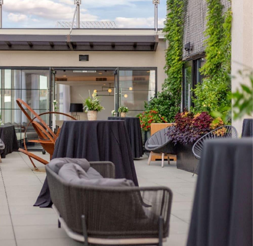 Pet Friendly The Windsor Suites