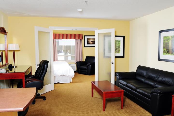 Pet Friendly Trend Mountain Hotel & Conference Centre