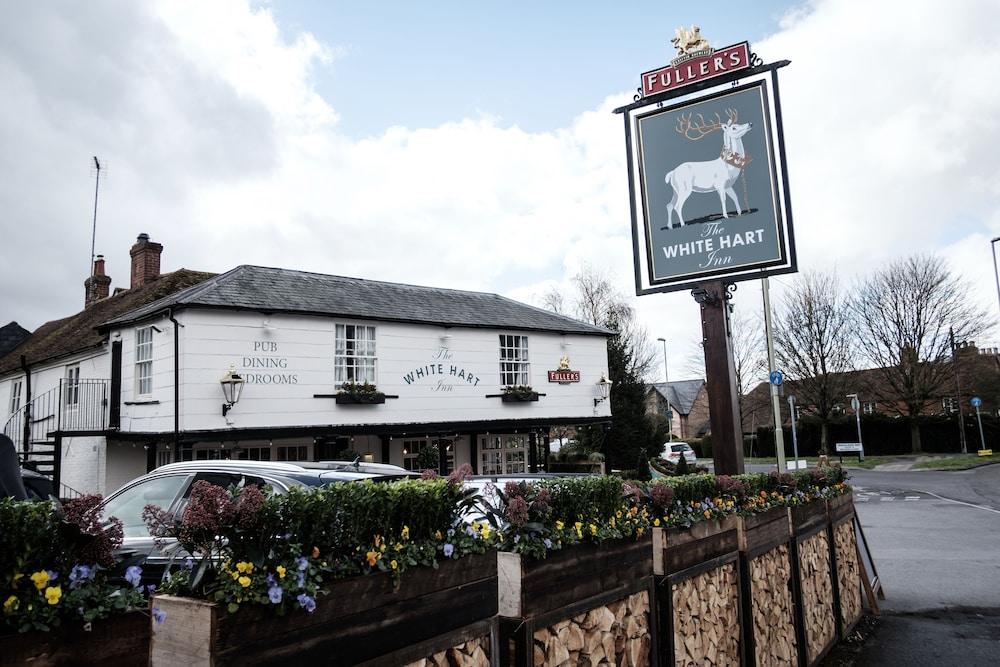 Pet Friendly The White Hart