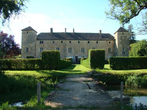 Pet Friendly Château d'Ozenay