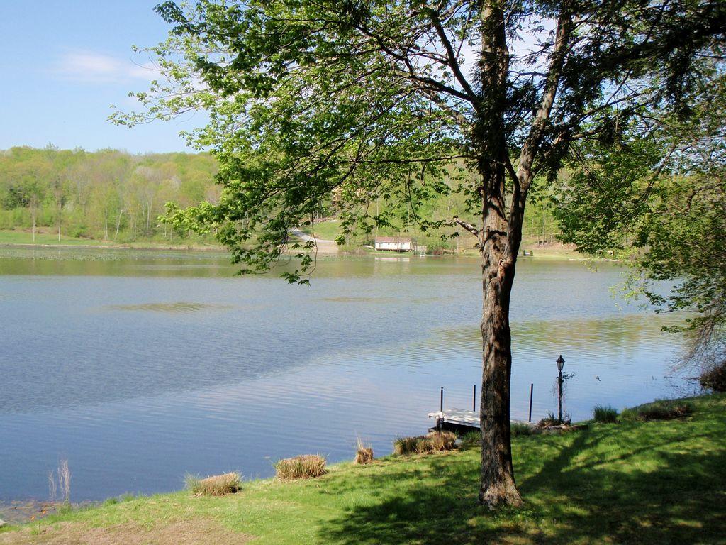 2 Bedroom Home on Lake Carey Pet Policy