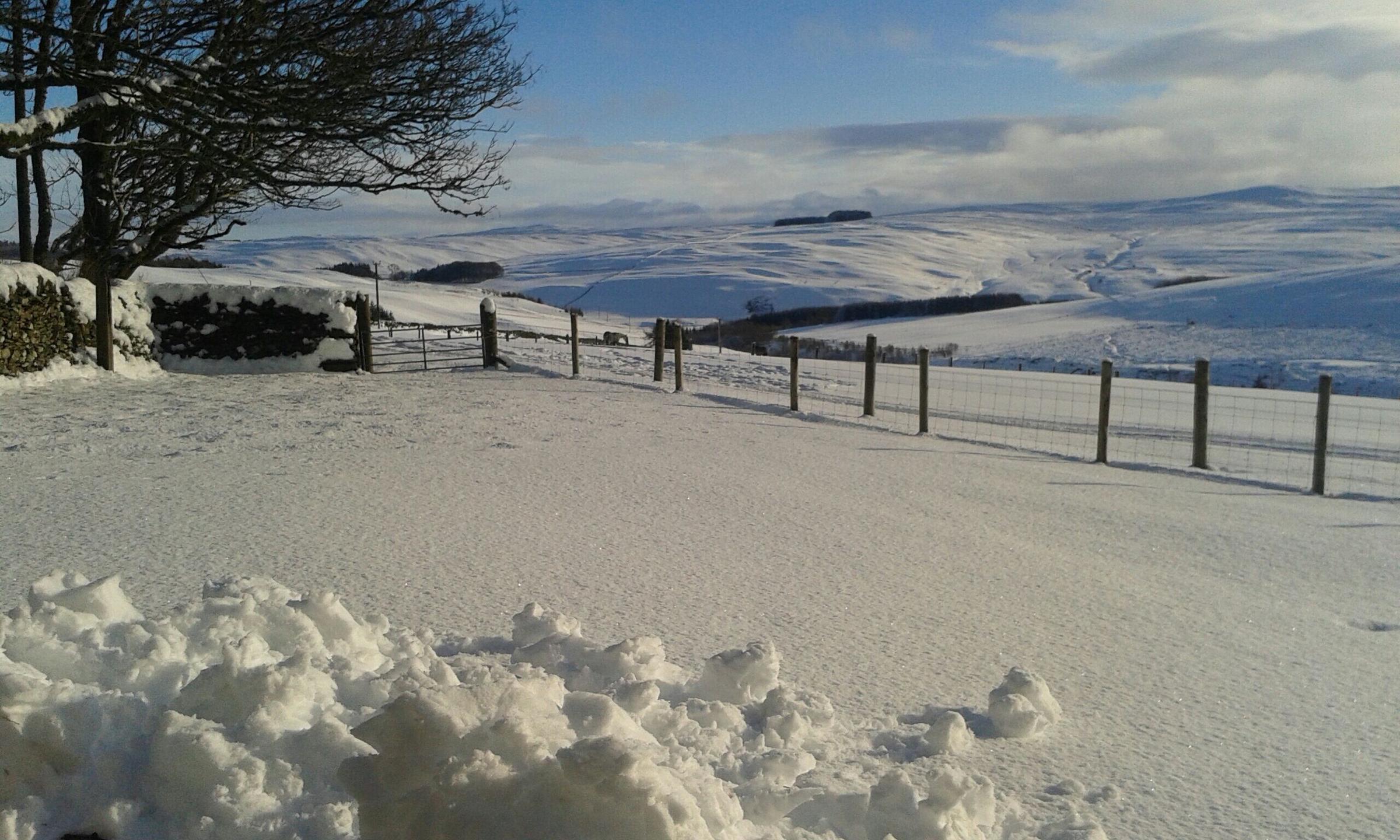 Pet Friendly Girnwood Holiday Cottage