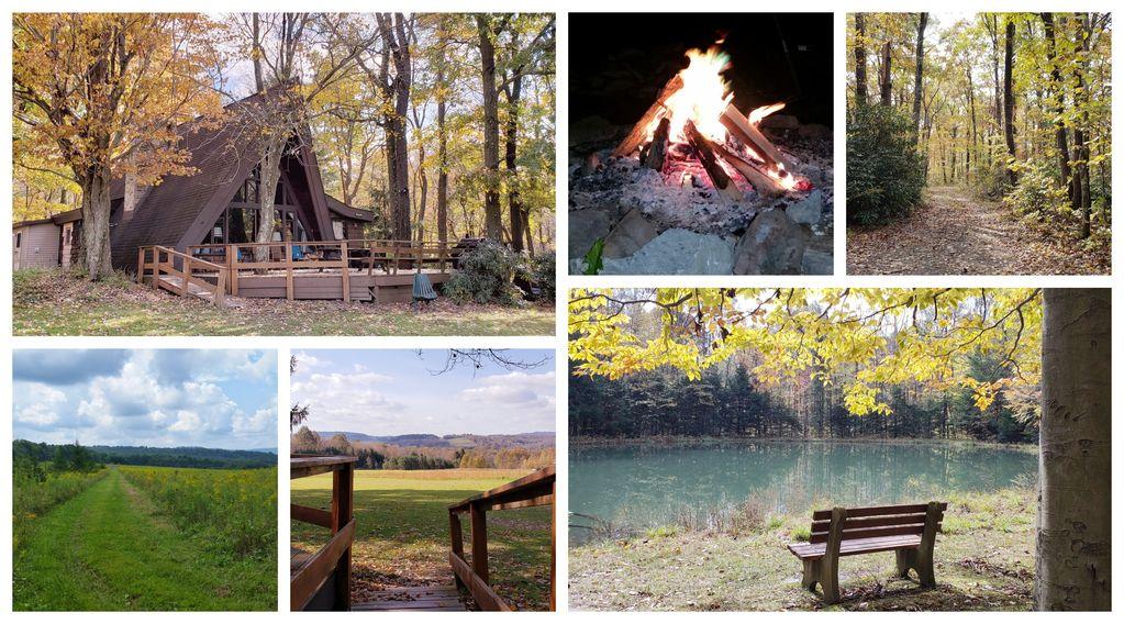 Pet Friendly Hotels In Seven Springs Pa Bringfido