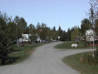 Pet Friendly Breezy Meadows Campground