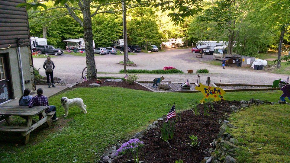 Pioneer Campground Pet Policy