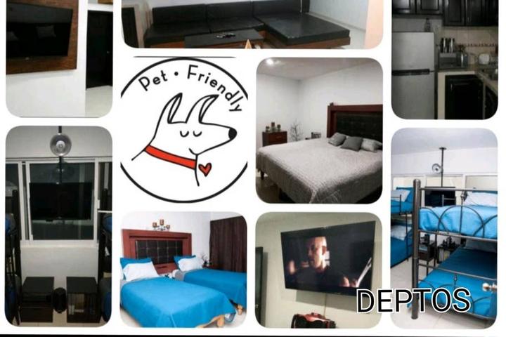 Pet Friendly Lagos de Moreno Airbnb Rentals