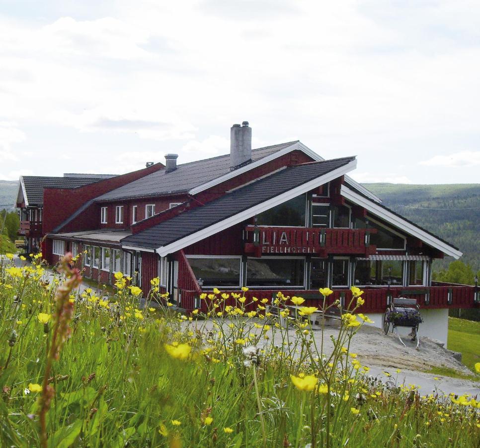 Pet Friendly Lia Fjellhotell