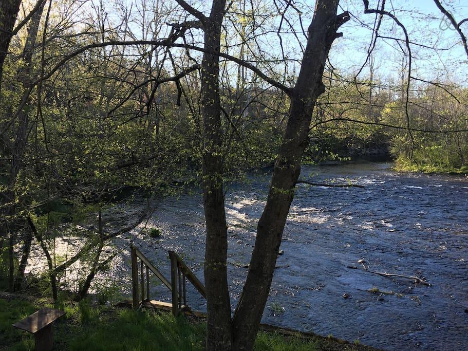 Pet Friendly Vacation Rentals In Townsend Tn Bringfido